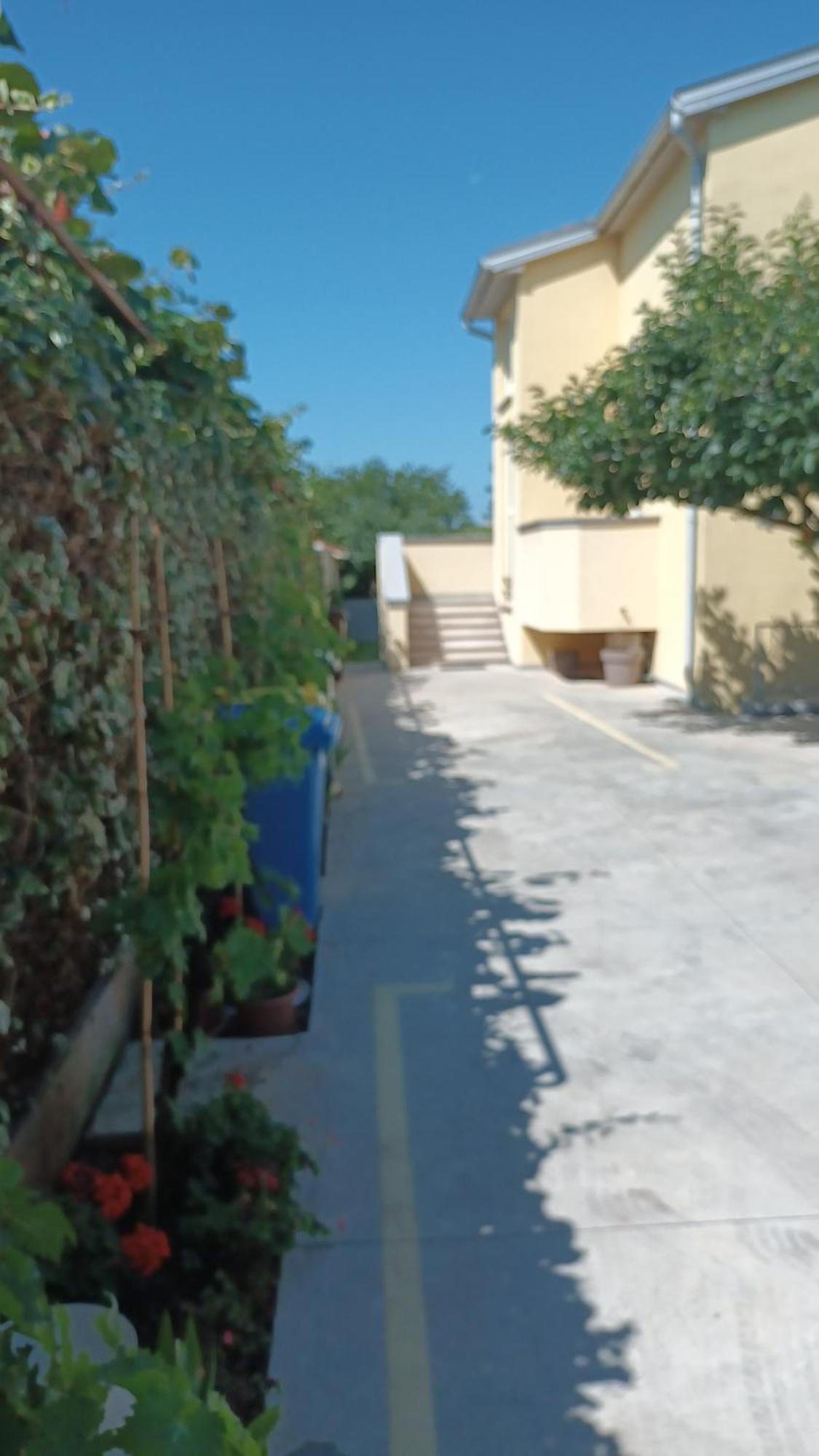 Apartments Monte Magno Pula Bagian luar foto